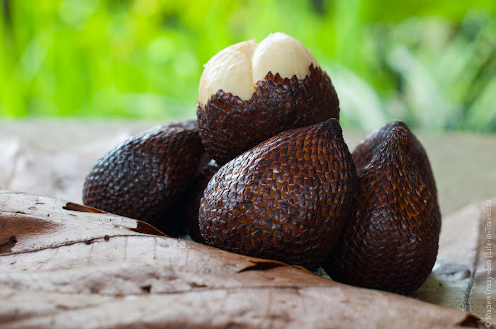  ,   (Snake fruit), 