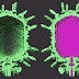 Empaquetamiento del ADN viral