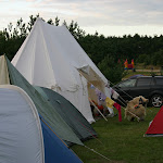 IMG_9007.JPG