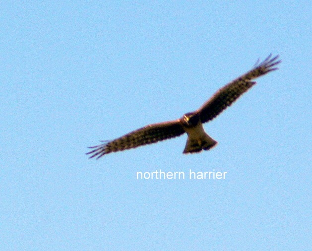 [P1420117%255B3%255D.jpg]