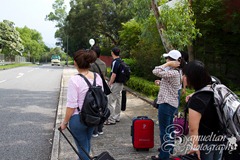 IMG_9396 IMG_9396