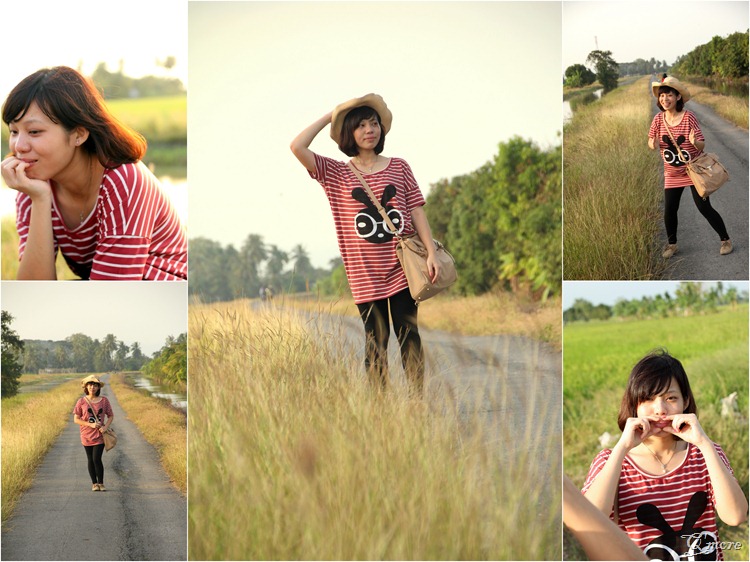 perlis1 perlis1