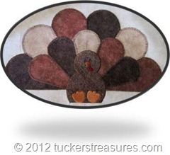 closeup turkey