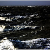 DSCF7476-1.jpg