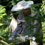 IMG_3394.JPG