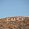 untitled album - 238.jpg