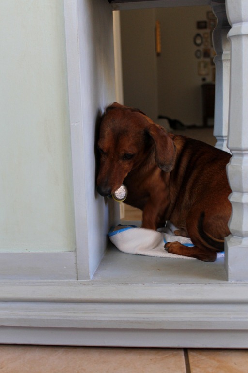 [kitchen%2520006%255B4%255D.jpg]