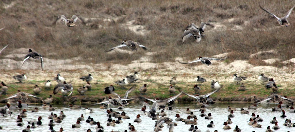 [IMG_1929B%255B5%255D.jpg]