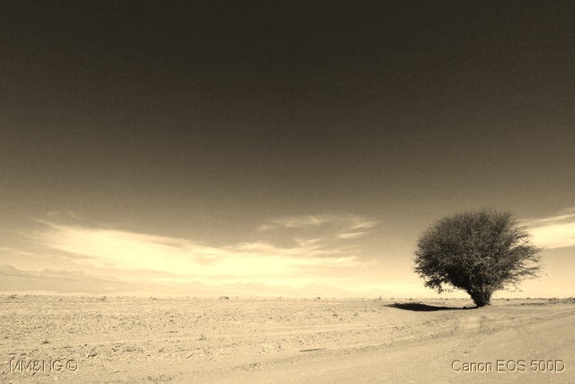 [IMG_9598%255B25%255D.jpg]