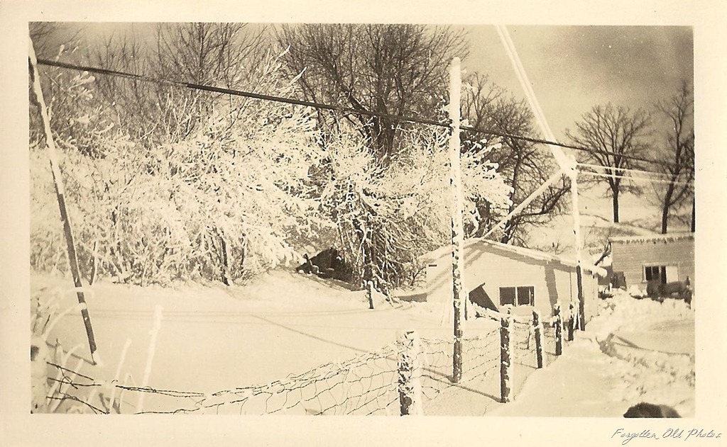 [Winter%2520scene%2520Tin%2520Ceiling%255B9%255D.jpg]