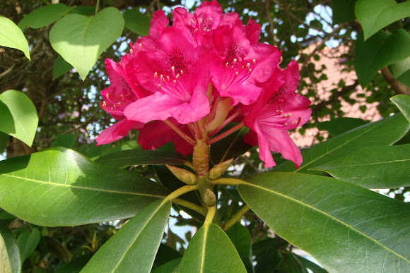Spotting Image 1