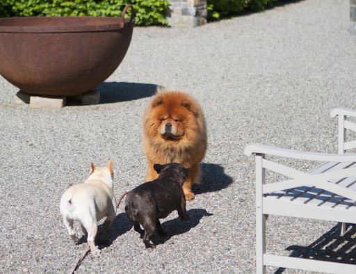 G.K. - We mentioned yesterday that we might take you on one of our adventures.  Do you remember?