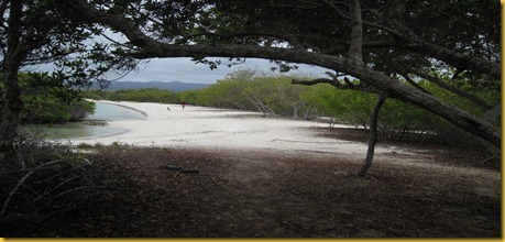 Foto Galapagos Spiaggia Santa Cruz Foto Galapagos Spiaggia Santa Cruz