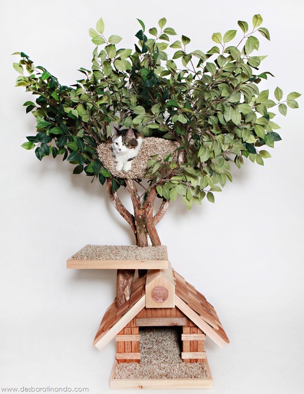 Sapling__Small___4efdf80a7e477 Sapling__Small___4efdf80a7e477