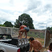 carnavalpompeu2012_flagras_segunda4dia_50.JPG