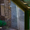 DSC_2691lr+ps.jpg