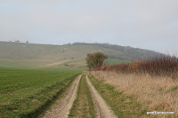 IMG_5419.JPG Photo