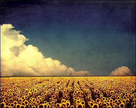 Girasol-Digital-Art Girasol-Digital-Art