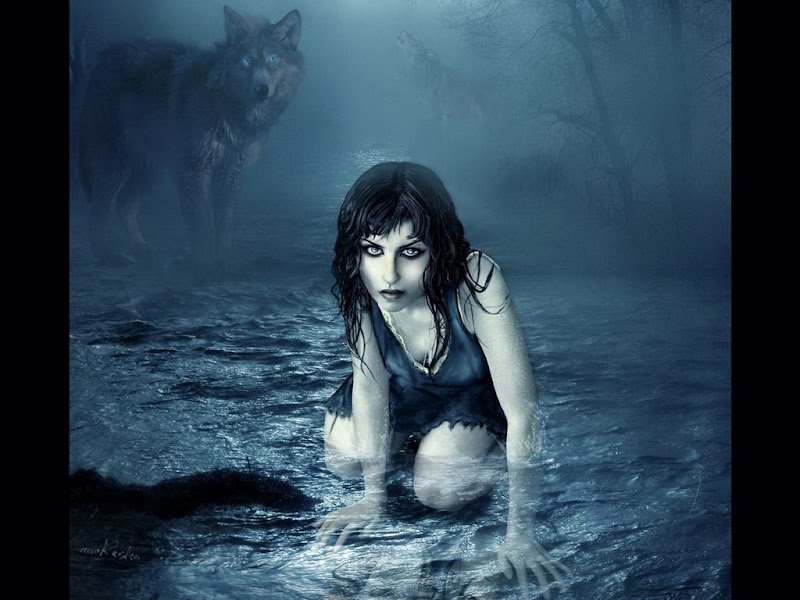 Wolf Child, Mystery