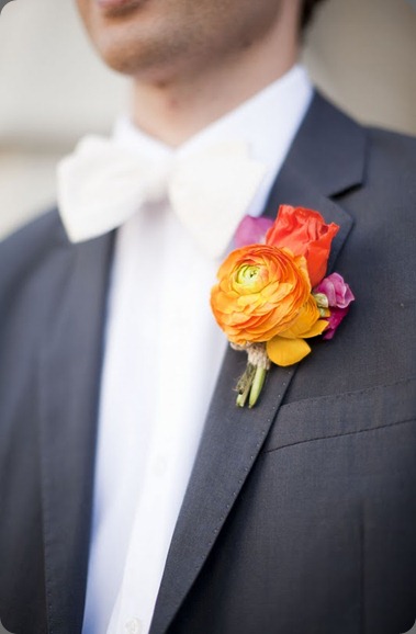 _MG_9114 honey of a thousand flowers _MG_9114 honey of a thousand flowers