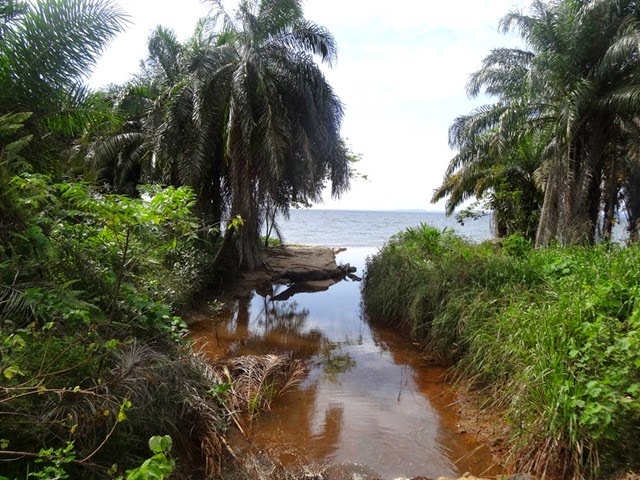 Cocobeach6 Cocobeach6