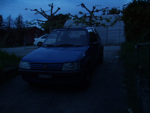 Peugeot 205 GTI 19