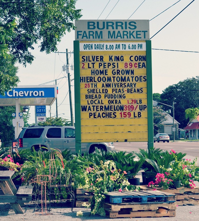 [burrisfarmmarket_2%255B5%255D.jpg]