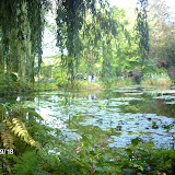 IMAG0787.JPG