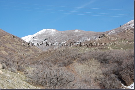 DSC_0985 DSC_0985