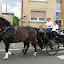 IMG_5594.JPG
