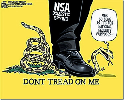 NSA Steps on 'Don't Tread on Me' serpent NSA Steps on 'Don't Tread on Me' serpent