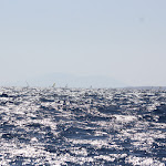 IMG_3619.JPG