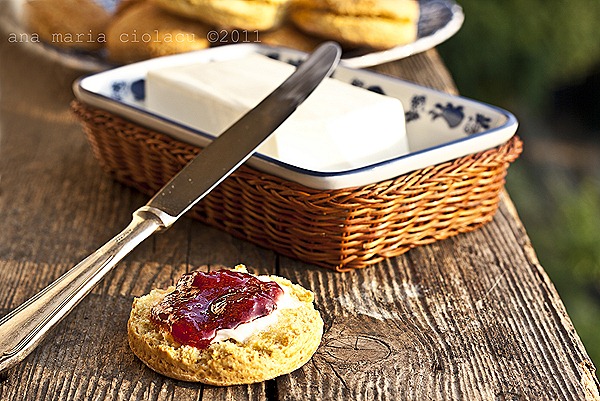 Scones watermark