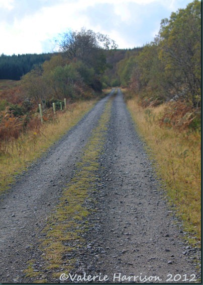 36-old-railway-line