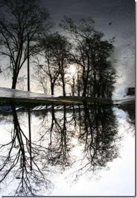 1369969_mirror1