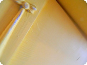 DSCN1541