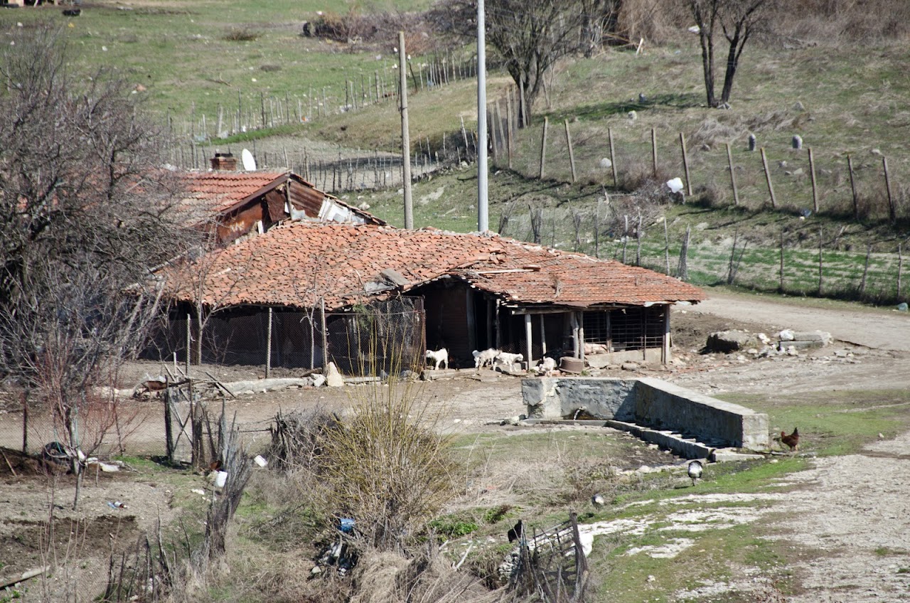 Bulgaria