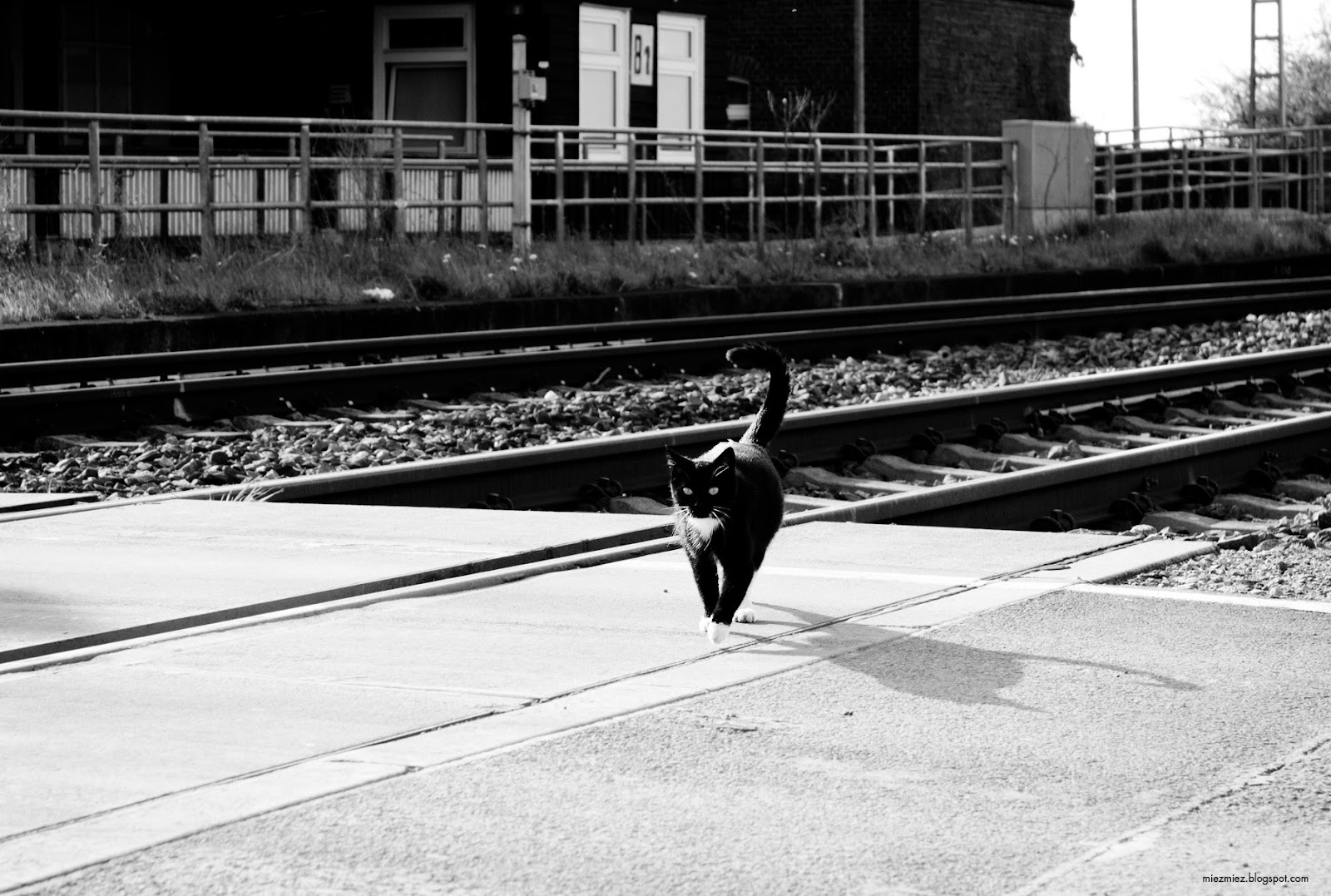 [IMG_20130505_175154_5910%255B2%255D.jpg]
