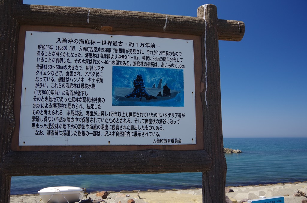 [IMGP2194%255B3%255D.jpg]