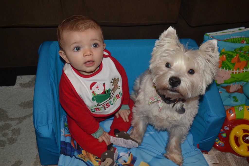 [2011.12.25%2520Christmas%2520Morning%2520%252819%2529%255B3%255D.jpg]