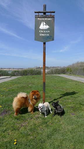 Come on, Francesca and G.K.!  We've already driven along the scenic ten miles of Ocean Drive.  Perhaps we should get out, stretch our legs, and enjoy some nice fresh air!