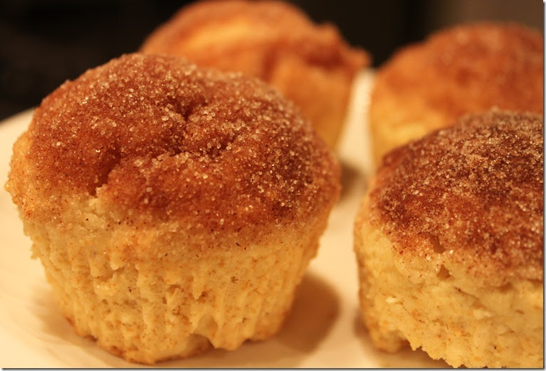 Pickles and Cheese French Breakfast Muffins