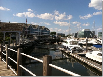 photo_2