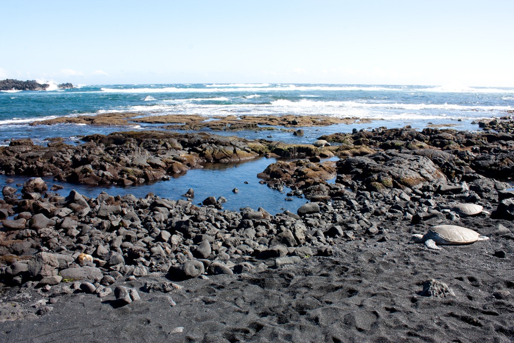 [20121216-IMG_4472%255B4%255D.jpg]