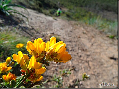 SAM_0196 SAM_0196