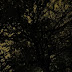 DSC03662.JPG