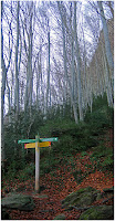 P1.jpg Photo P1.jpg Photo