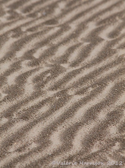 [19-sand-ripples%255B2%255D.jpg]