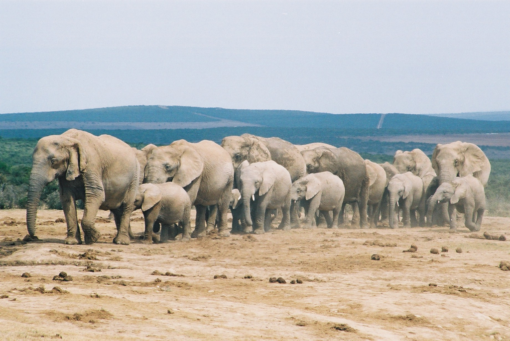 [image%255B5%255D.png]