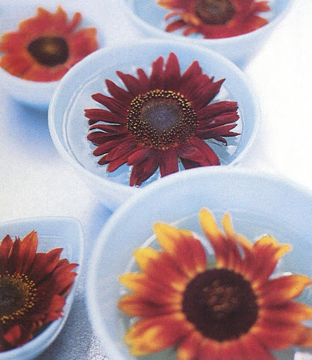 Bright sunflower faces peer up from individual Fire King mixing bowls. (The Best of Martha Stewart Living -- Arranging Flowers) Bright sunflower faces peer up from individual Fire King mixing bowls. (The Best of Martha Stewart Living -- Arranging Flowers)